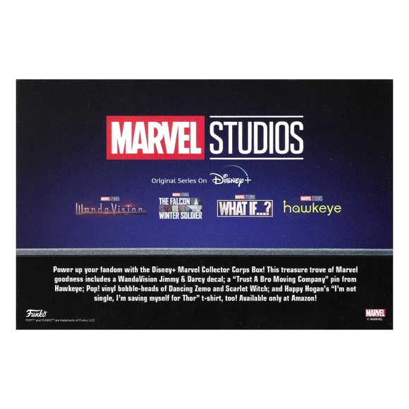 Wanda Vision Scarlet Witch Falcon Winter Soldier Baron Zemo Funko Marvel Corps - Picture 10 of 13